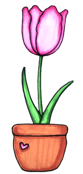 тюльпан в горшке картинка
