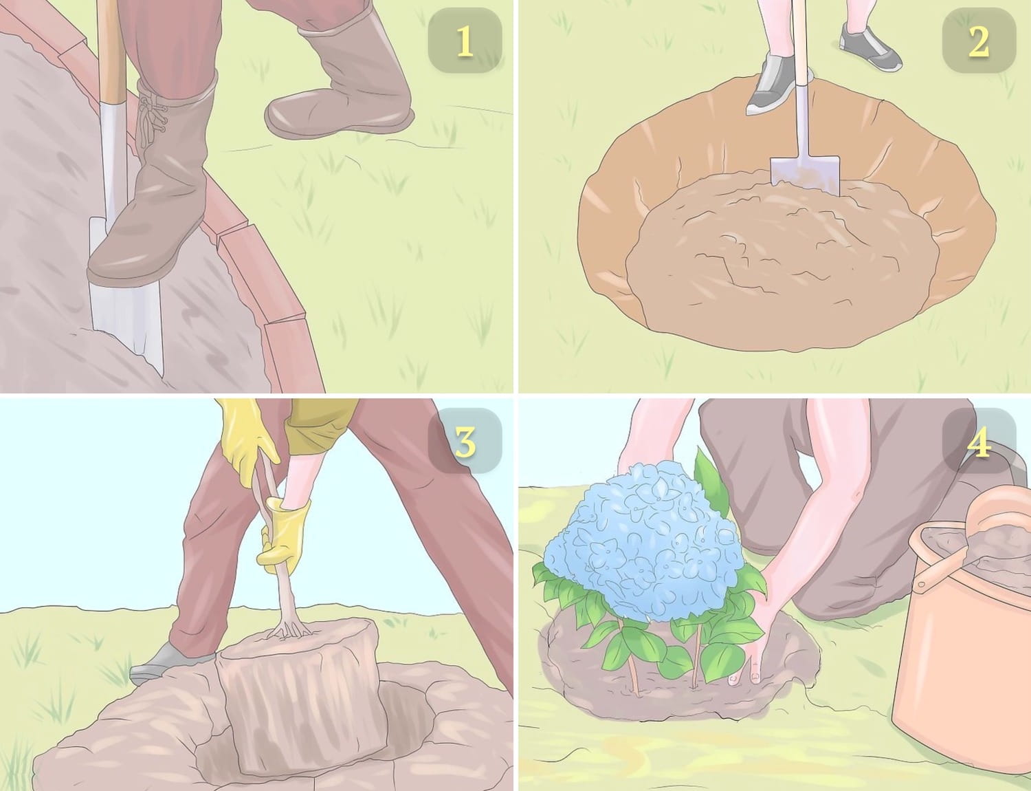 Перед посадкой гортензии почву следует обильно удобрить компостом